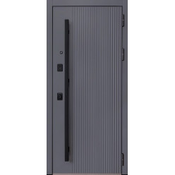 Стальная дверь 