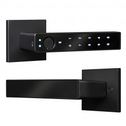 Умная электронная дверная ручка Smart lock R10 Черная