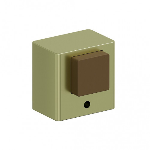 DS-1 SG МатЗолото